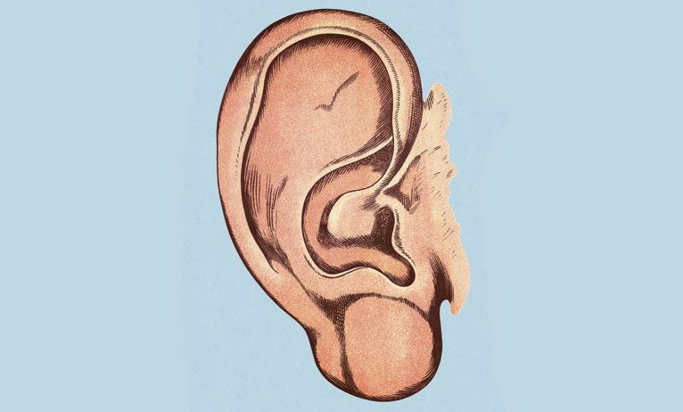 Diagnostic - La sourde oreille de Mélanie Joly
